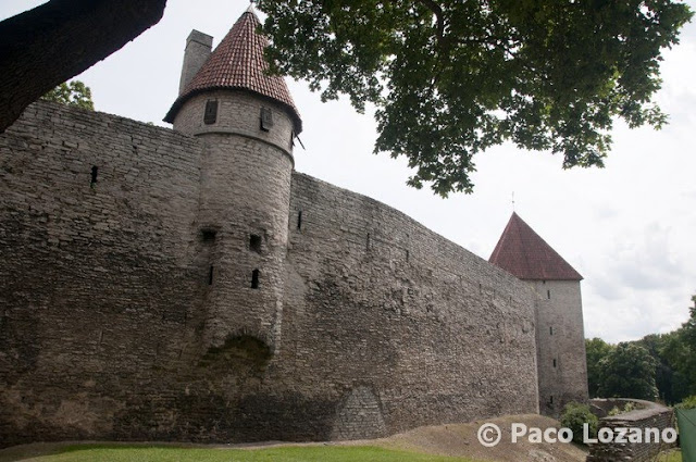 Murallas de Tallin