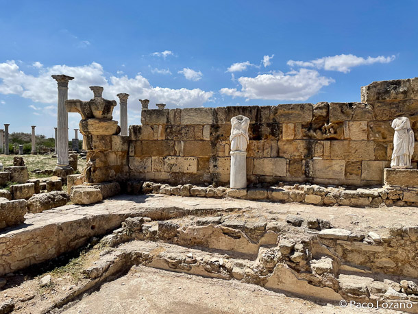 Salamis