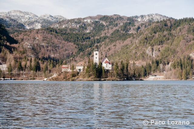 Isla del lago Bled