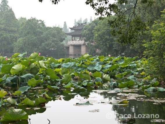 Hangzhou: lago del Oeste