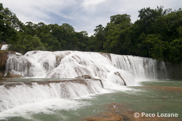 Cascadas de Agua Azul en Chiapas (México)