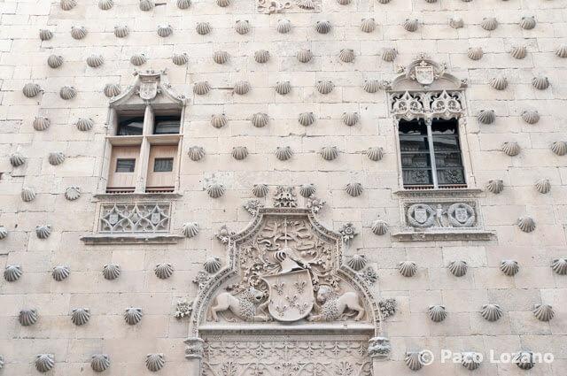 Casa de las Conchas, Salamanca