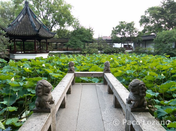 Jardín chino Zuibaichi