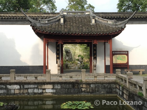 Jardín chino Zuibaichi en Songjiang