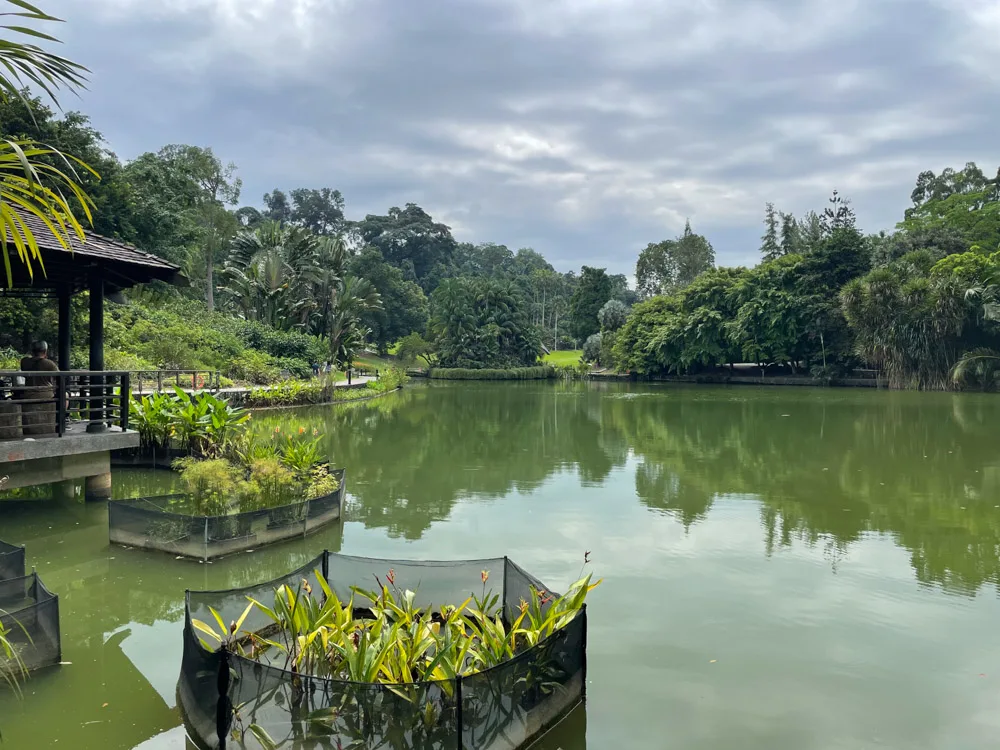 Foto del Jardín Botánico de Singapur