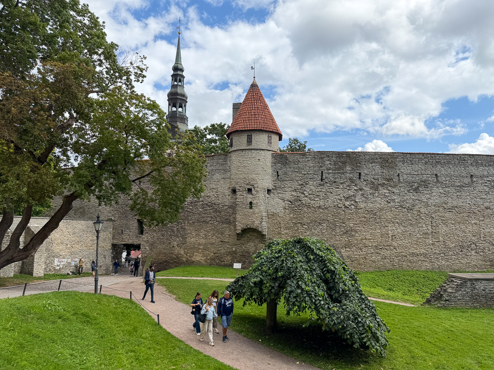 Tallitorn