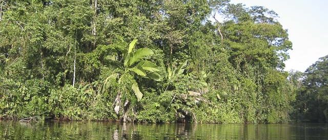 Tortuguero Destinos América: Costa Rica