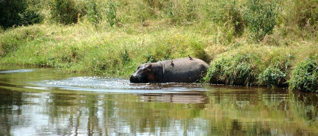 Tanzania Dónde viajar en junio: Tanzania