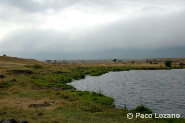 Lago en el cráter del Ngorongoro